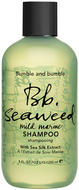 BUMBLE&BUMBLESeaweedShampoo250ml
